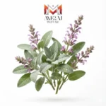 مریمگلی کبیر (کلاری سیج)