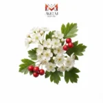 زالزالک (ولیک)